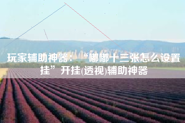 玩家辅助神器：“嘟嘟十三张怎么设置挂”开挂(透视)辅助神器
