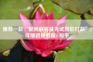 推荐一款“聚闲麻将挂先试用后付款”(详细透视教程)-知乎