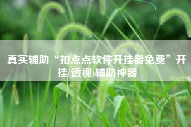 真实辅助“扣点点软件开挂器免费	”开挂(透视)辅助神器