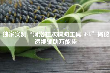 独家实测“河洛杠次辅助工具ed2k	”揭秘透视辅助万能挂