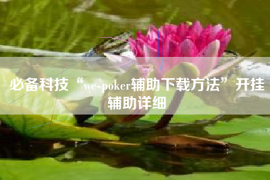 必备科技“we-poker辅助下载方法”开挂辅助详细