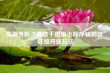 实测分析“微信干瞪眼小程序辅助器	”详细开挂玩法
