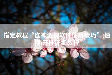 指定教程“雀神透视软件使用技巧”(透视)开挂详细教程