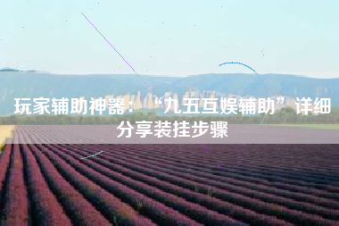 玩家辅助神器：“九五互娱辅助”详细分享装挂步骤