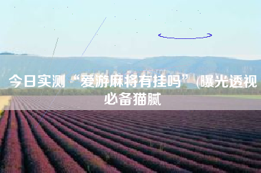 今日实测“爱游麻将有挂吗	”(曝光透视必备猫腻