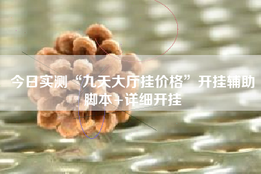 今日实测“九天大厅挂价格	”开挂辅助脚本+详细开挂