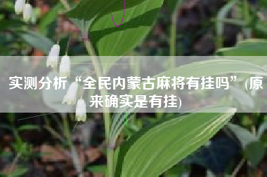 实测分析“全民内蒙古麻将有挂吗”(原来确实是有挂)