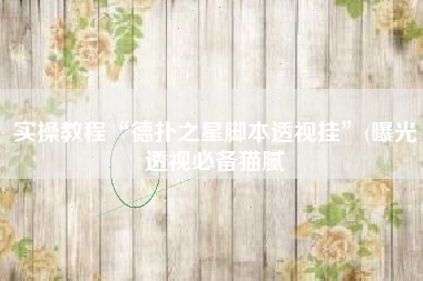 实操教程“德扑之星脚本透视挂”(曝光透视必备猫腻