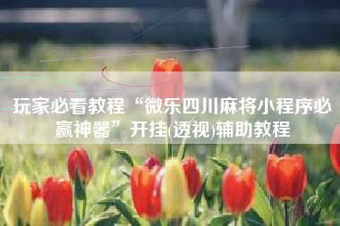 玩家必看教程“微乐四川麻将小程序必赢神器	”开挂(透视)辅助教程