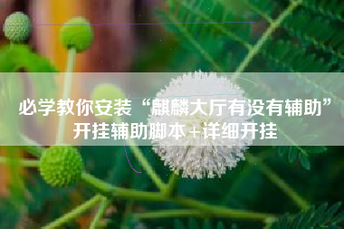 必学教你安装“麒麟大厅有没有辅助”开挂辅助脚本+详细开挂