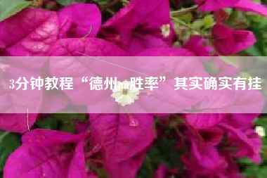 3分钟教程“德州aa胜率”其实确实有挂