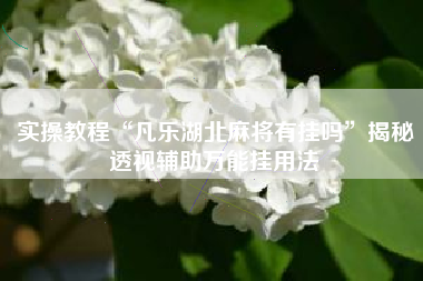 实操教程“凡乐湖北麻将有挂吗”揭秘透视辅助万能挂用法