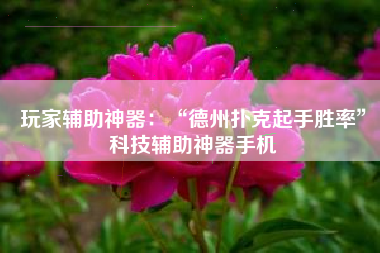 玩家辅助神器：“德州扑克起手胜率”科技辅助神器手机