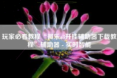 玩家必看教程“微乐a3开挂辅助器下载教程”辅助器 - 实时智能