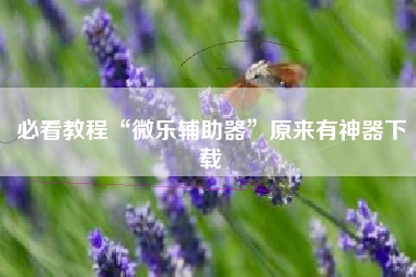 必看教程“微乐辅助器	”原来有神器下载