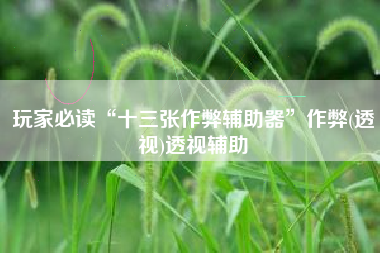 玩家必读“十三张作弊辅助器	”作弊(透视)透视辅助