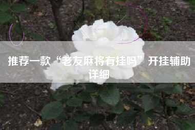 推荐一款“老友麻将有挂吗”开挂辅助详细