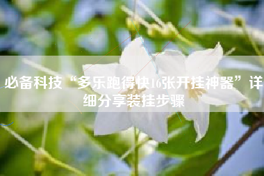 必备科技“多乐跑得快16张开挂神器”详细分享装挂步骤