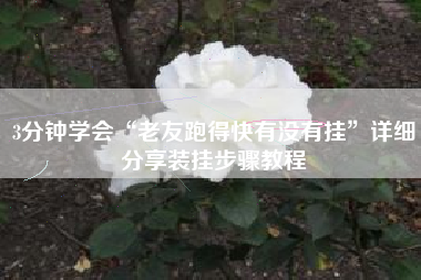 3分钟学会“老友跑得快有没有挂”详细分享装挂步骤教程