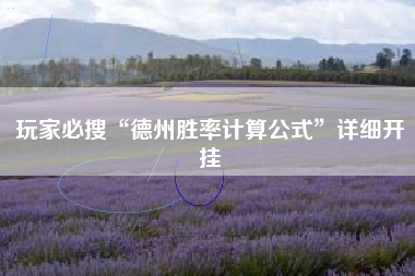 玩家必搜“德州胜率计算公式	”详细开挂