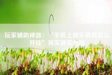 玩家辅助神器：“手机上微乐麻将怎么开挂	”其实确实有挂