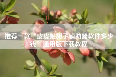 推荐一款“皮皮跑胡子辅助器软件多少钱”通用版下载教程