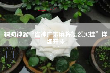 辅助神器“雀神广东麻将怎么买挂	”详细开挂