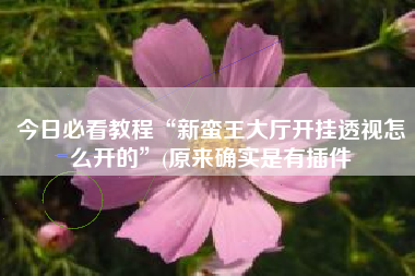 今日必看教程“新蛮王大厅开挂透视怎么开的”(原来确实是有插件