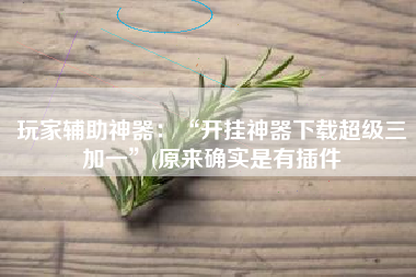 玩家辅助神器：“开挂神器下载超级三加一	”(原来确实是有插件