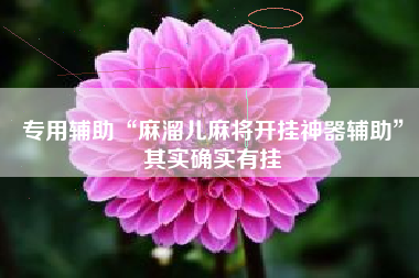 专用辅助“麻溜儿麻将开挂神器辅助”其实确实有挂