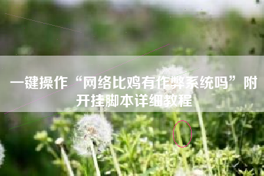 一键操作“网络比鸡有作弊系统吗	”附开挂脚本详细教程