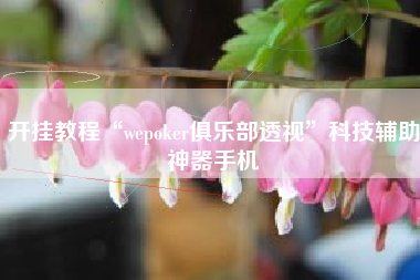 开挂教程“wepoker俱乐部透视	”科技辅助神器手机