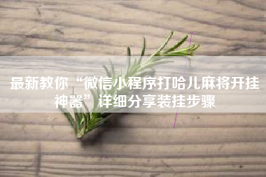 最新教你“微信小程序打哈儿麻将开挂神器”详细分享装挂步骤