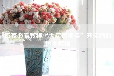 玩家必看教程“大厅透视挂”开挂辅助透视教程