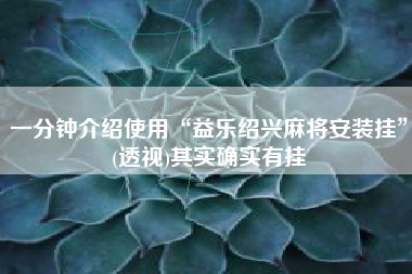 一分钟介绍使用“益乐绍兴麻将安装挂	”(透视)其实确实有挂