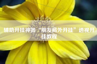 辅助开挂神器“朋友局外开挂	”透视开挂教程