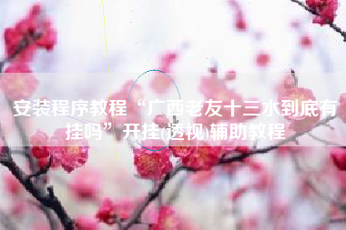 安装程序教程“广西老友十三水到底有挂吗”开挂(透视)辅助教程