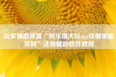 玩家辅助神器“微乐填大坑app挂哪里能买到”详细辅助软件教程