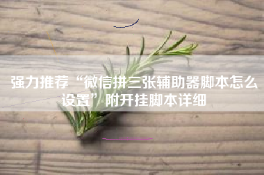 强力推荐“微信拼三张辅助器脚本怎么设置	”附开挂脚本详细