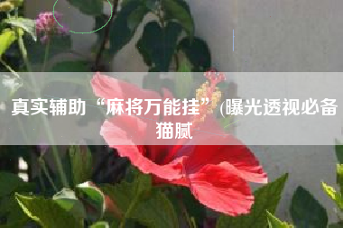 真实辅助“麻将万能挂”(曝光透视必备猫腻