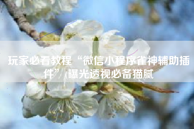 玩家必看教程“微信小程序雀神辅助插件	”(曝光透视必备猫腻