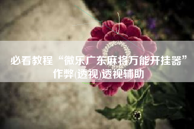 必看教程“微乐广东麻将万能开挂器	”作弊(透视)透视辅助