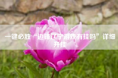 一键必胜“边锋辽宁游戏有挂吗”详细开挂