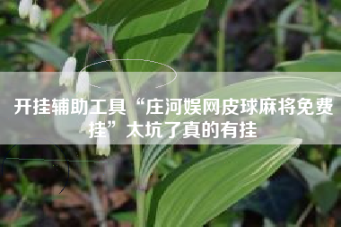 开挂辅助工具“庄河娱网皮球麻将免费挂	”太坑了真的有挂