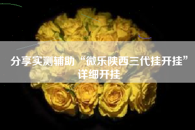 分享实测辅助“微乐陕西三代挂开挂”详细开挂