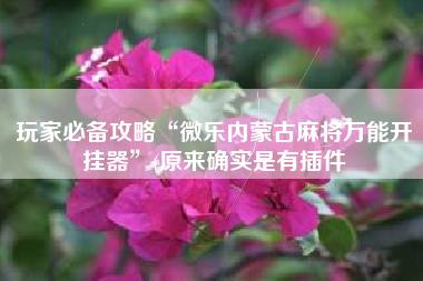 玩家必备攻略“微乐内蒙古麻将万能开挂器	”(原来确实是有插件