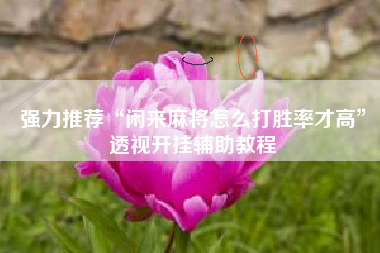 强力推荐“闲来麻将怎么打胜率才高”透视开挂辅助教程