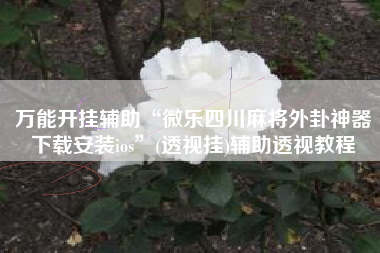 万能开挂辅助“微乐四川麻将外卦神器下载安装ios”(透视挂)辅助透视教程