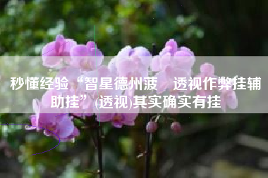 秒懂经验“智星德州菠籮透视作弊挂辅助挂”(透视)其实确实有挂