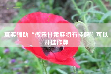 真实辅助“微乐甘肃麻将有挂吗”可以开挂作弊